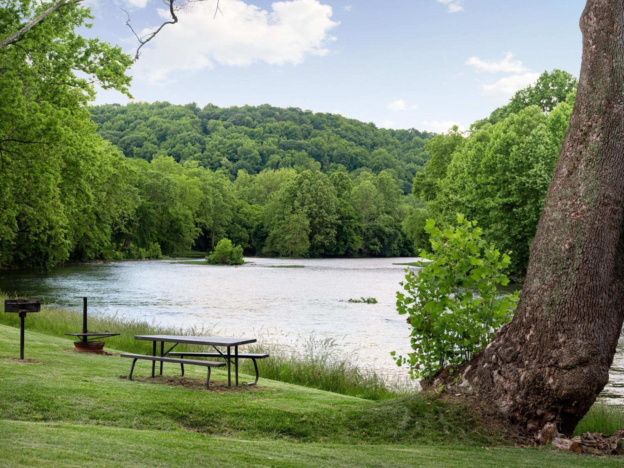 Shenandoah Dog Friendly Cabin With River Access, Hot Tub, Fire Pit, Bbq, Outdoor Dining Dış mekan fotoğraf